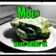 Image for article titled Is Mold Dangerous?